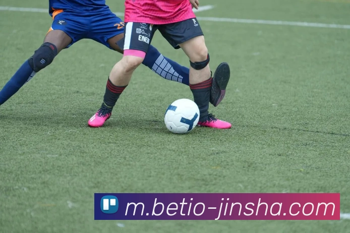 金沙娱乐平台生态图